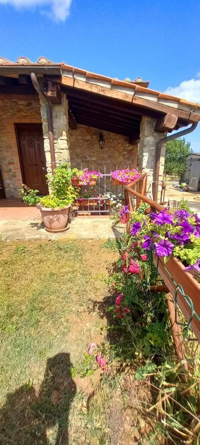 Agriturismo La Casina Saturnia Bagian luar foto